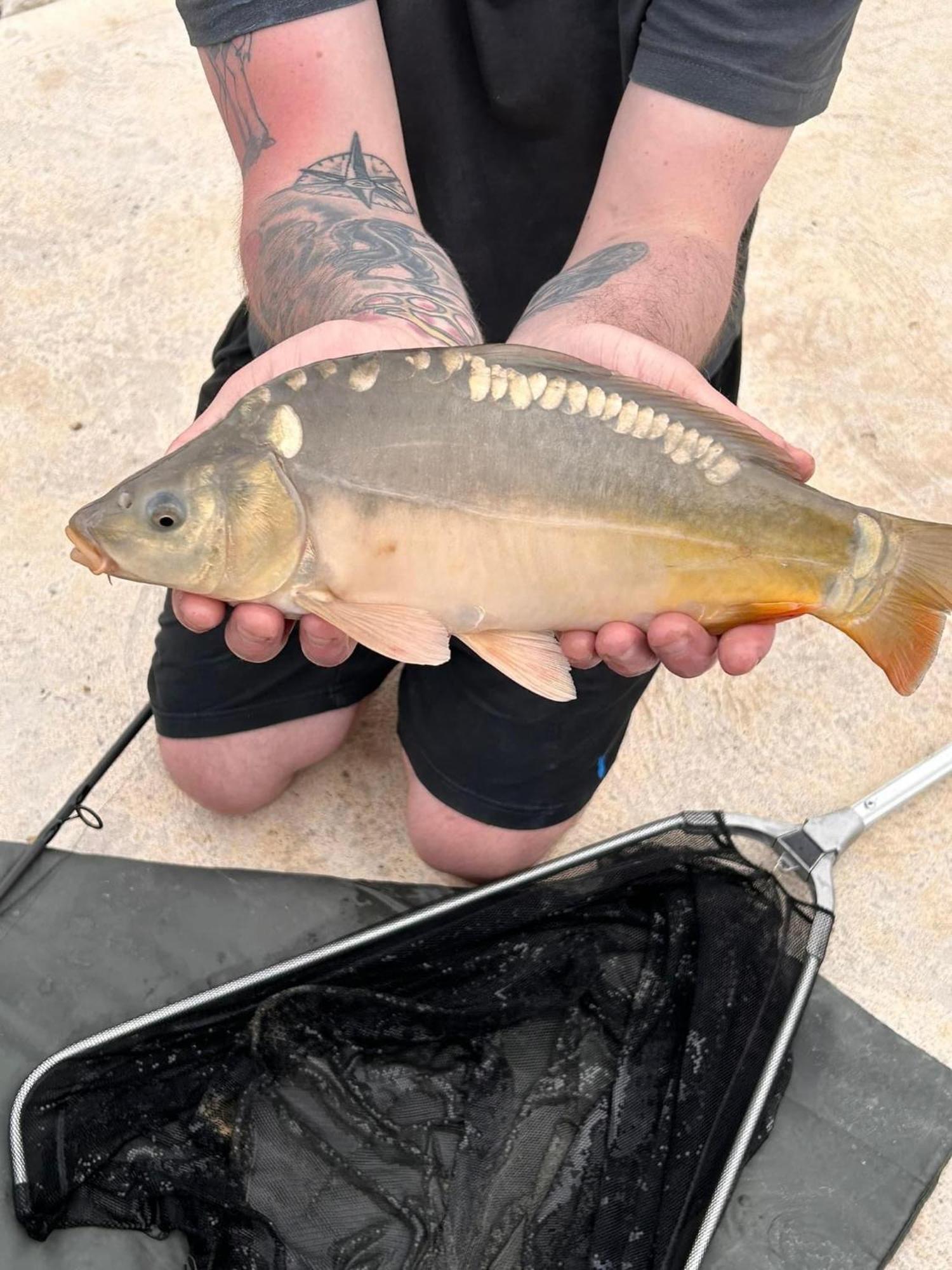 Lakeside Fishing Retreats Boston Room photo
